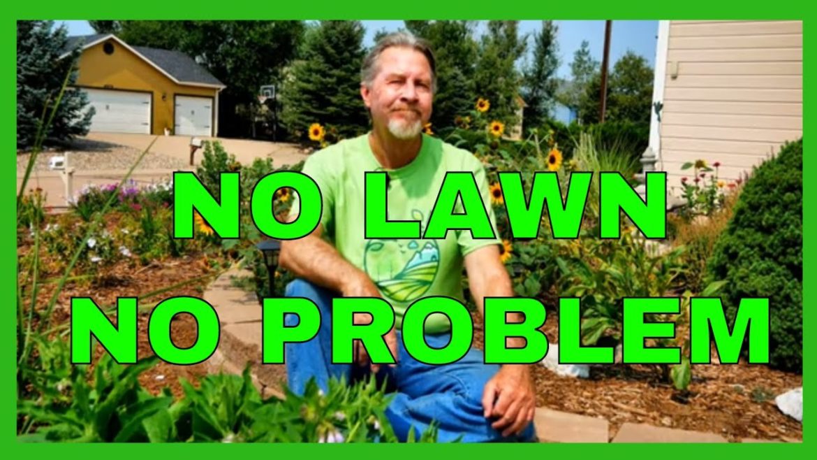 Why I Have No Lawn (And I'm HAPPY) Why I Have No Lawn (And I'm HAPPY)