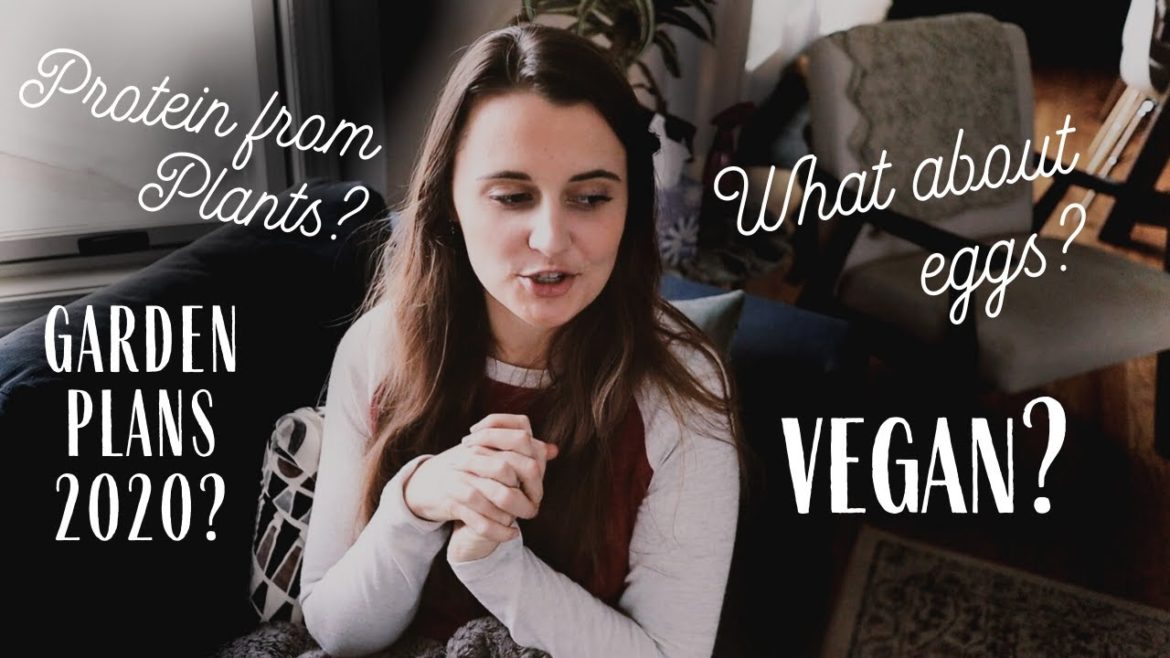 Q & A | Homesteading Full Time, Going Vegan, Garden Plans? Q & A | Homesteading Full Time, Going Vegan, Garden Plans?