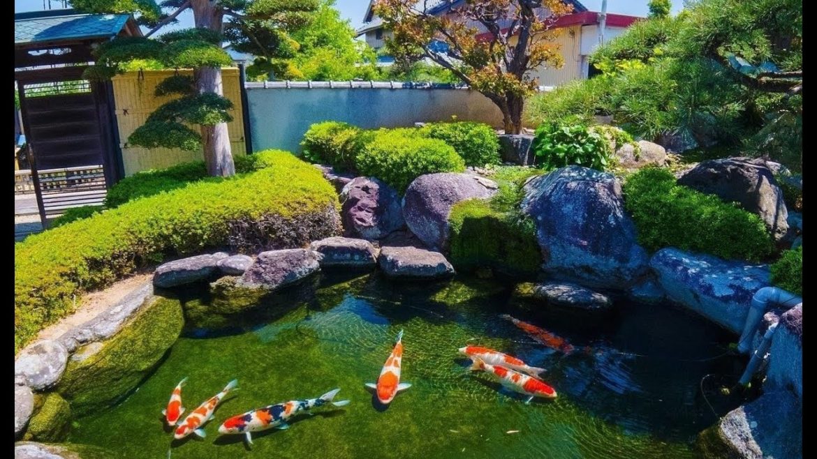 Beautiful Outdoor Backyard Koi Pond | Amazing Landscape of Garden Design Beautiful Outdoor Backyard Koi Pond | Amazing Landscape of Garden Design