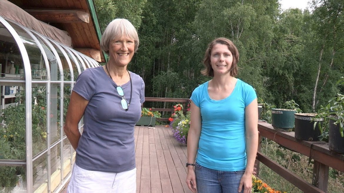 Terry Reichardt's Container Garden – In the Alaska Garden with Heidi Rader Terry Reichardt's Container Garden – In the Alaska Garden with Heidi Rader