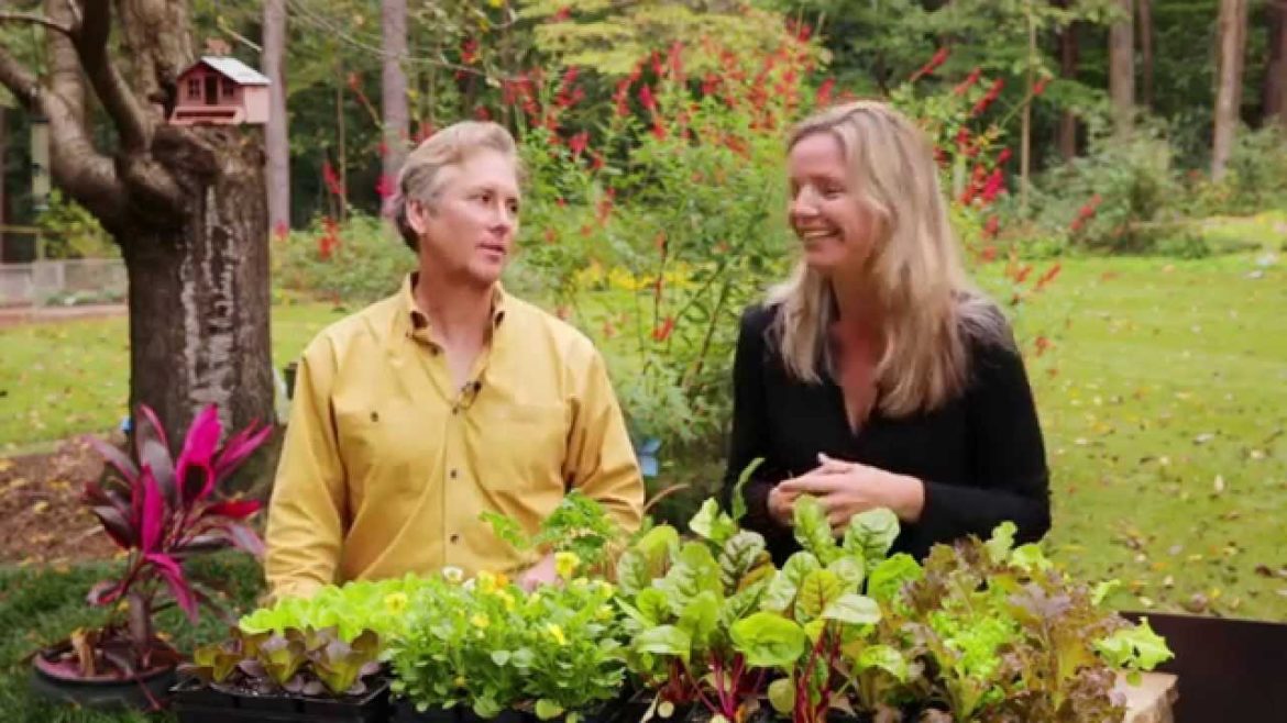 Edible Gardening HD