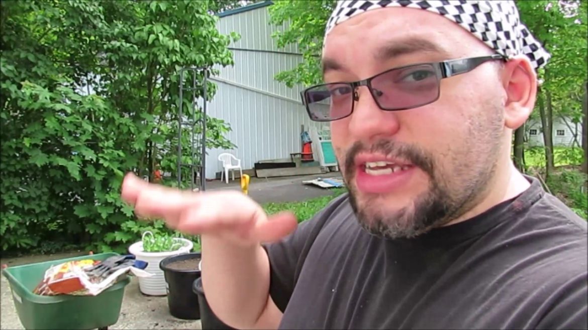 Starting a New Container Garden — Hugelkultur Style Starting a New Container Garden -- Hugelkultur Style