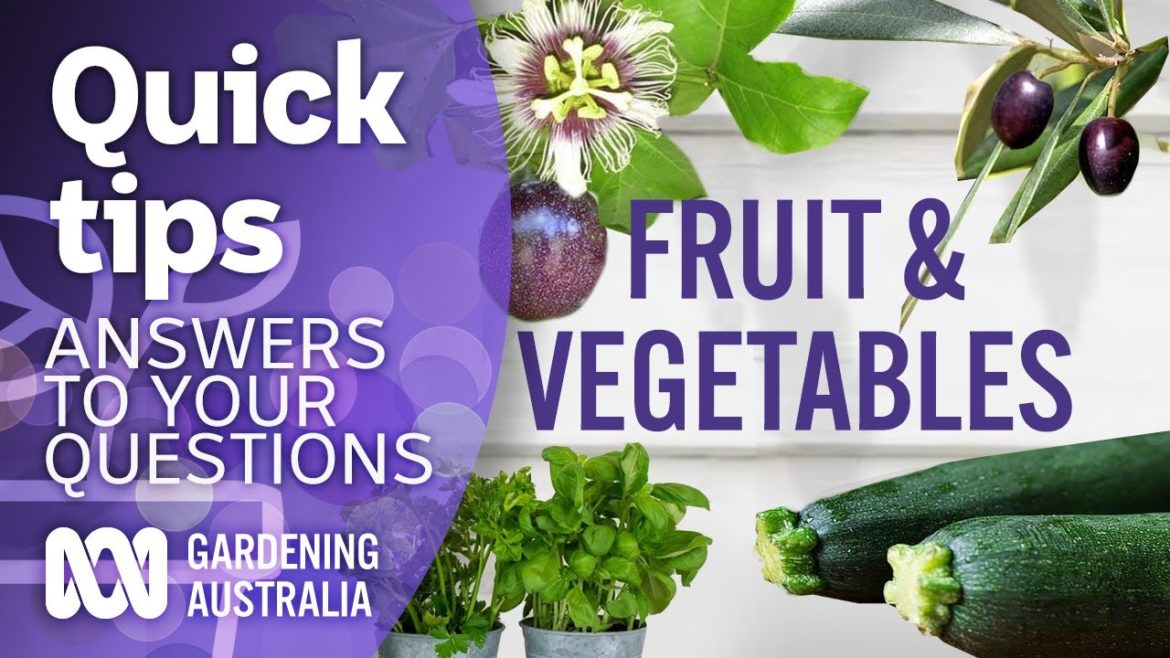 Fruit, vegetables and edible plants. | Your questions | Our answers | Gardening Australia