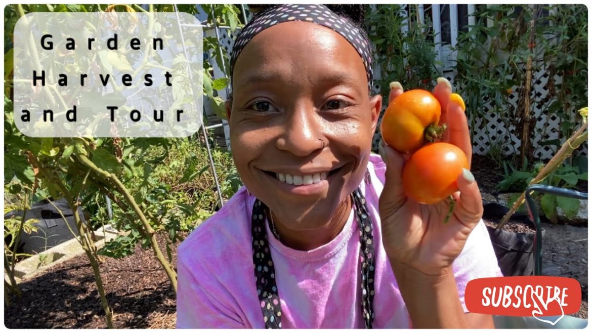 Small Space Gardening | Last Garden Tour of Summer | Small Harvest!