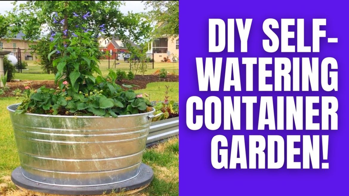 DIY Self-watering Container Garden DIY Self-watering Container Garden