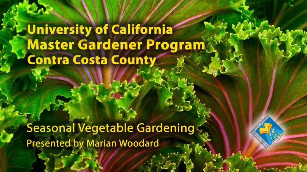 UC Master Gardeners—Seasonal Vegetable Gardening Webinar UC Master Gardeners—Seasonal Vegetable Gardening Webinar