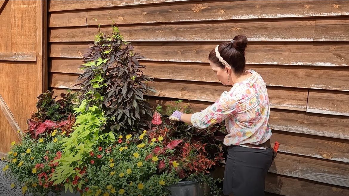 How I Maintain My Flower Pots | Gardening with Creekside How I Maintain My Flower Pots | Gardening with Creekside