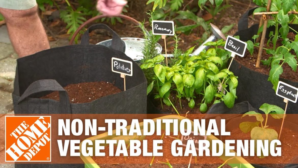 Non-traditional Vegetable Gardening | The Home Depot Non-traditional Vegetable Gardening | The Home Depot