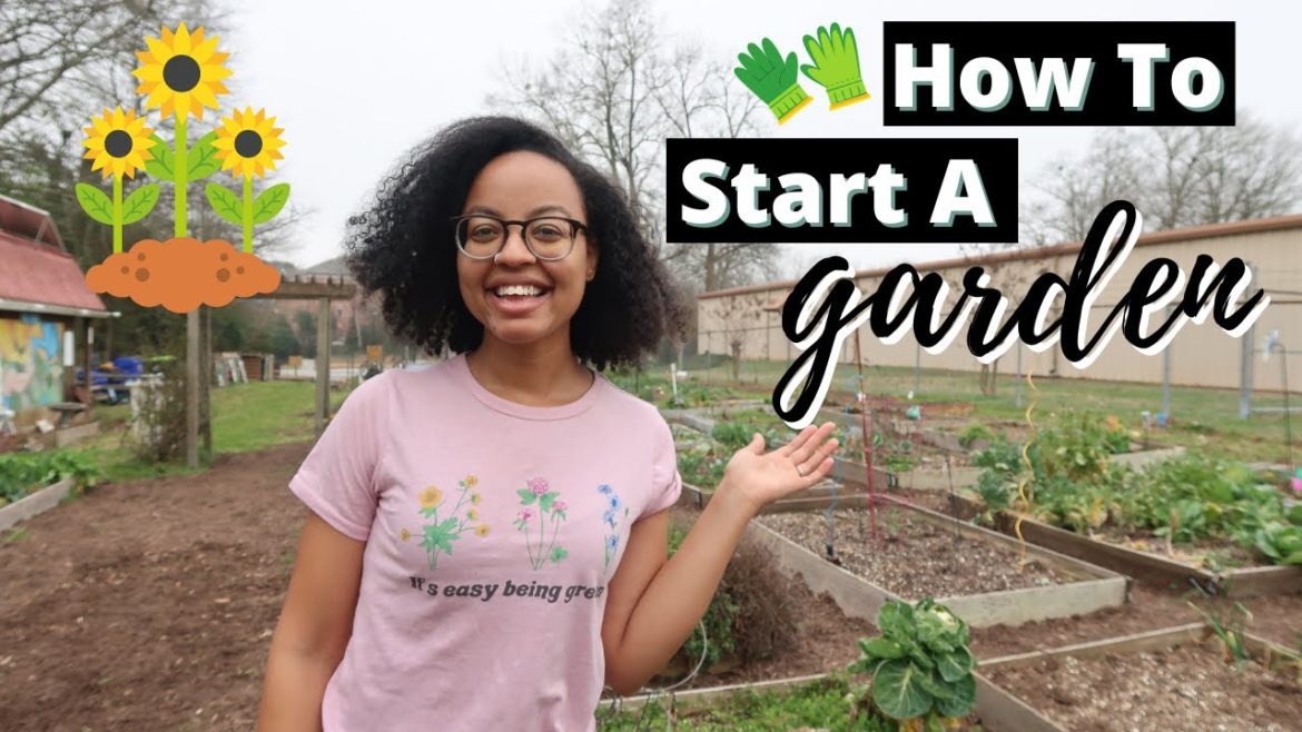 How to Start a Garden | Beginner Gardening Tips
