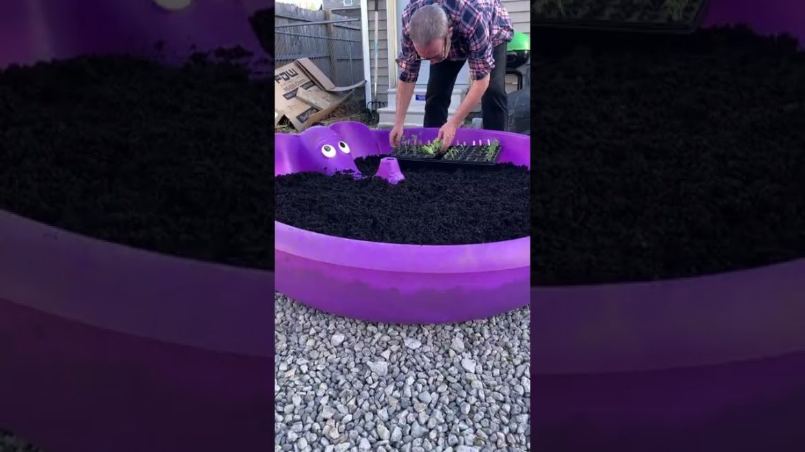 Ridiculous Container Gardening