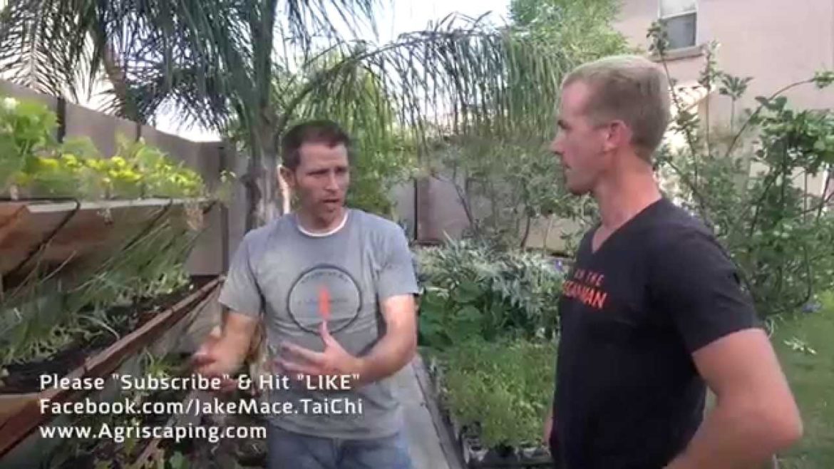 Amazing Backyard Edible GARDEN – Gilbert, Arizona Amazing Backyard Edible GARDEN - Gilbert, Arizona