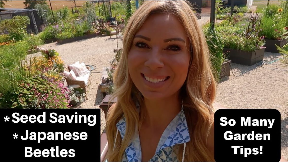 Garden Tips: Japanese Beetles, Seed Saving, Attracting Butterflies/ Flowers, Vegetables & Herb Tips!
