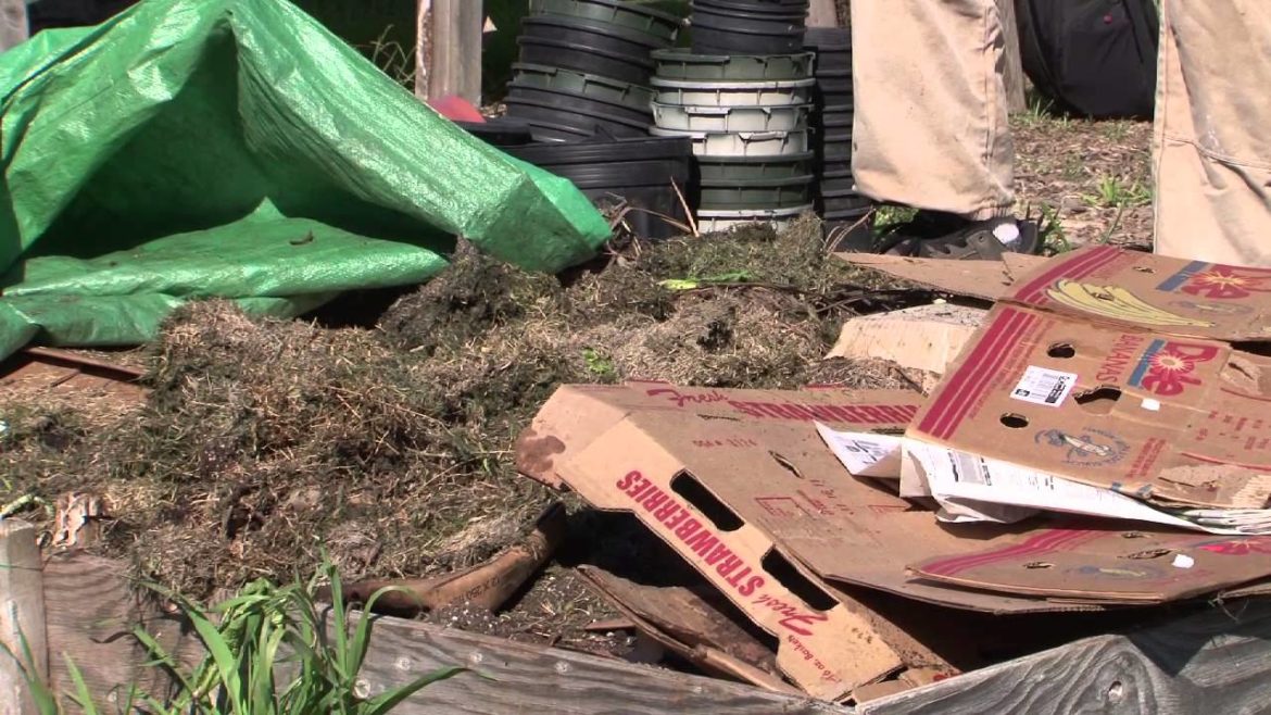 How to Compost Leaves & Organic Matter : Vegetable Gardening