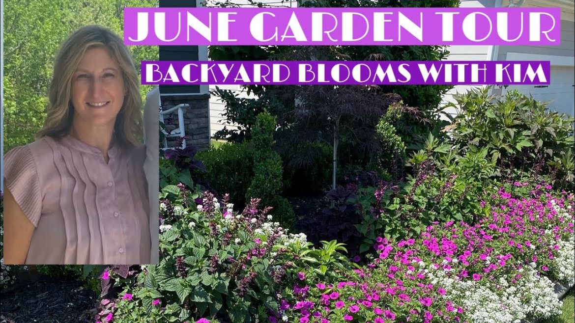 FRONT YARD GARDEN TOUR JUNE 2022: GET INSPIRATION FROM THE PROVEN WINNERS JAZZBERRY SUPERTUNIA'S. FRONT YARD GARDEN TOUR JUNE 2022: GET INSPIRATION FROM THE PROVEN WINNERS JAZZBERRY SUPERTUNIA'S.