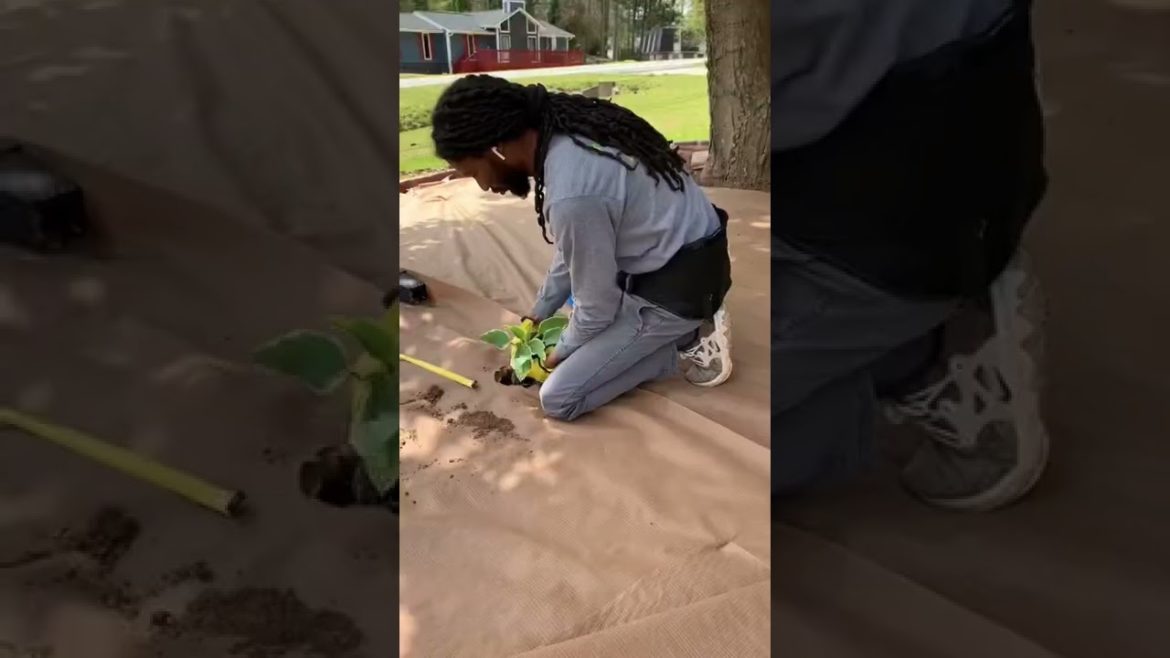 How to add instant curb appeal to your front lawn!