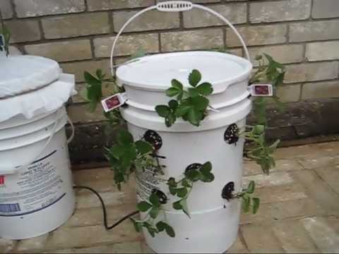 Off-Grid Self-Watering Container Gardening System: The Ultimate Container Off-Grid Self-Watering Container Gardening System: The Ultimate Container