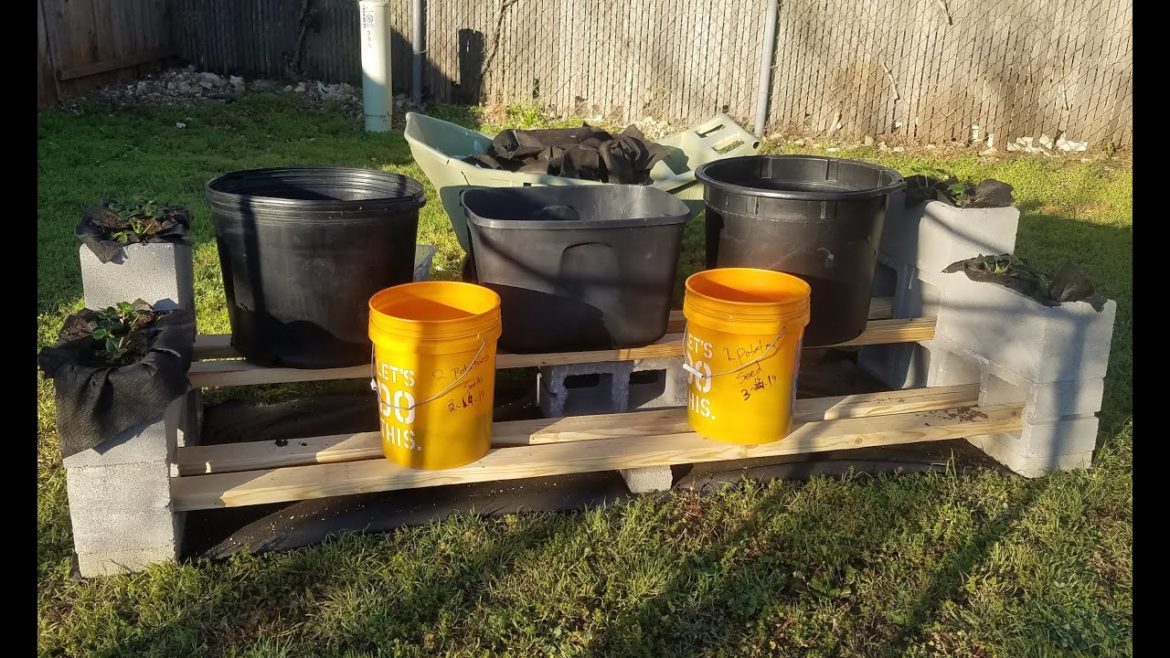 DIY 2 Tier Container Garden Shelves