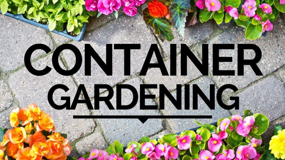 Paul James Tips for Container Gardening