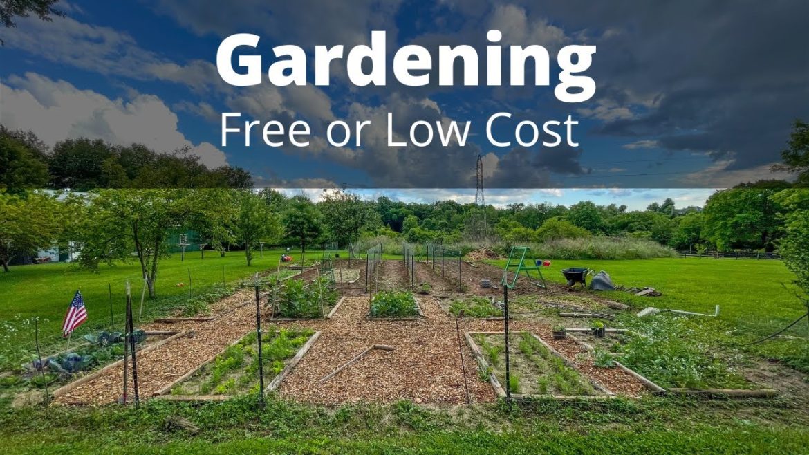 Best FREE garden hacks, tips, and tricks for gardening on a budget.