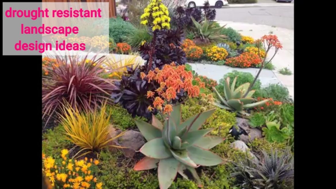 40+ Easy diy drought resistant landscape design ideas #7 40+ Easy diy drought resistant landscape design ideas #7