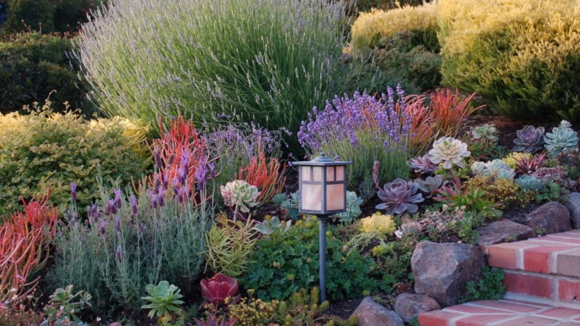 Landscaping Small Front Yards With Native Plants California - Garden Design