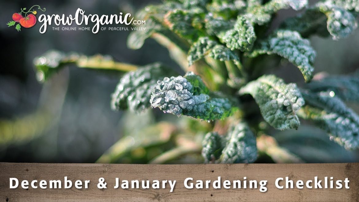 December & January Gardening Checklist – 30 Winter Gardening Tips and Tricks December & January Gardening Checklist - 30 Winter Gardening Tips and Tricks