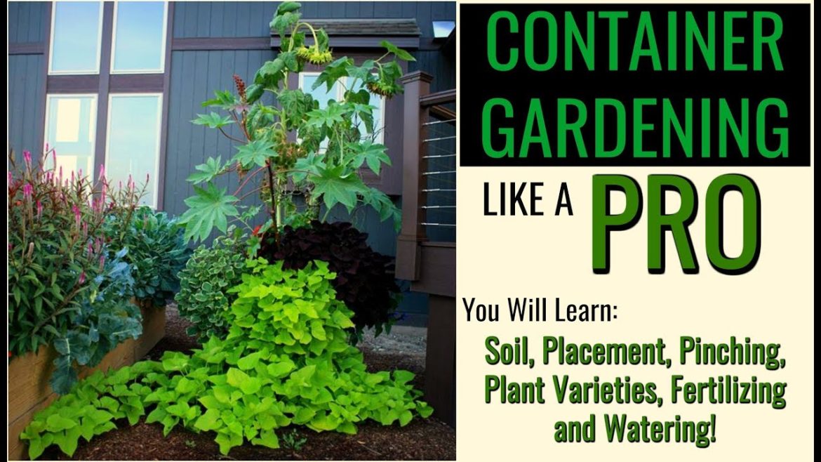 Container Gardening | How to Plant a Container Like a Pro | Sunny Container Garden | Full Lesson