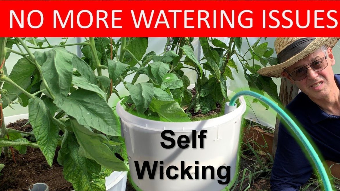 SELF WATERING CONTAINER GARDENING made easy with self wicking tubs, pails, or buckets