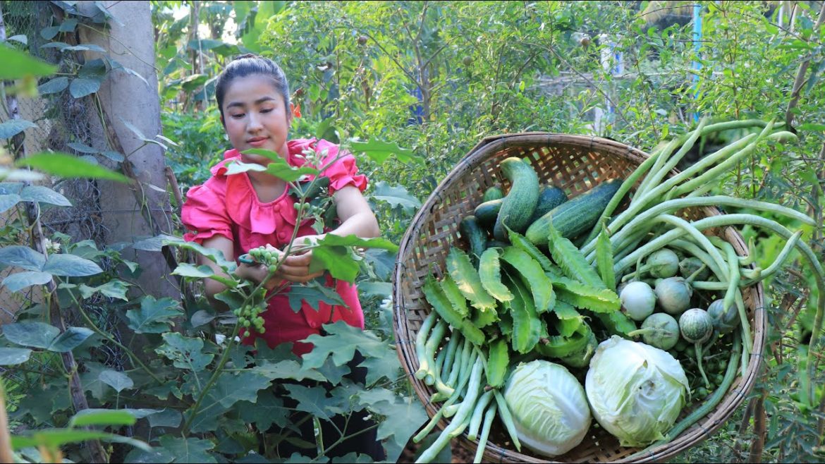 Countryside Life TV: All vegetable are free from vegetable garden / Vegetable dipping sauce recipe Countryside Life TV: All vegetable are free from vegetable garden / Vegetable dipping sauce recipe