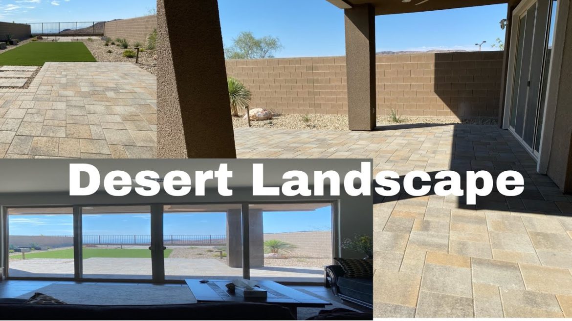 DESERT LANDSCAPE | DESERT BACKYARD | BACKYARD TOUR