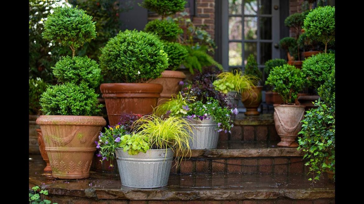 Plant this Spring Container Garden Trio from @Southern Living & @Linda Vater
