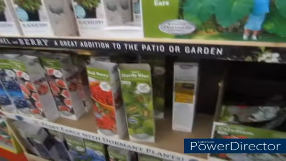 Not Much Gardening Supplies Left Get What You Need While You Can| Lot Of People Homesteading Not Much Gardening Supplies Left Get What You Need While You Can| Lot Of People Homesteading