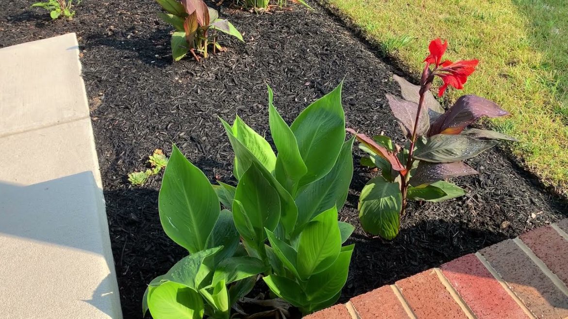 Garden Design for an L-Shaped Garden