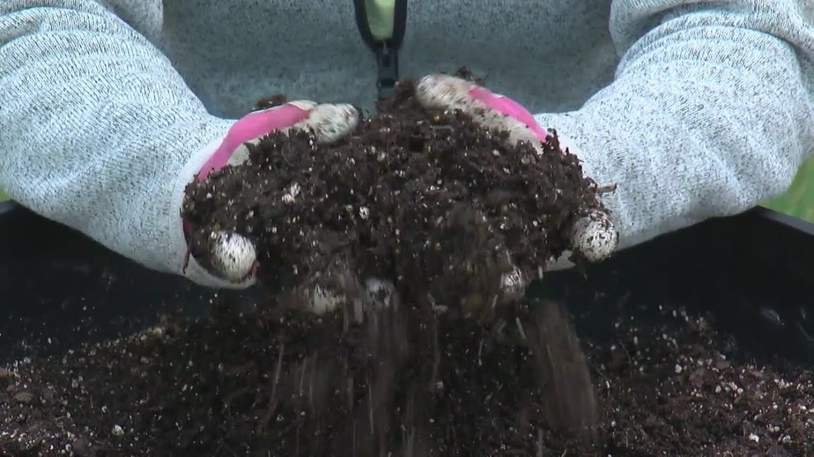 DIY Gardening Tips With Rebecca Kolls