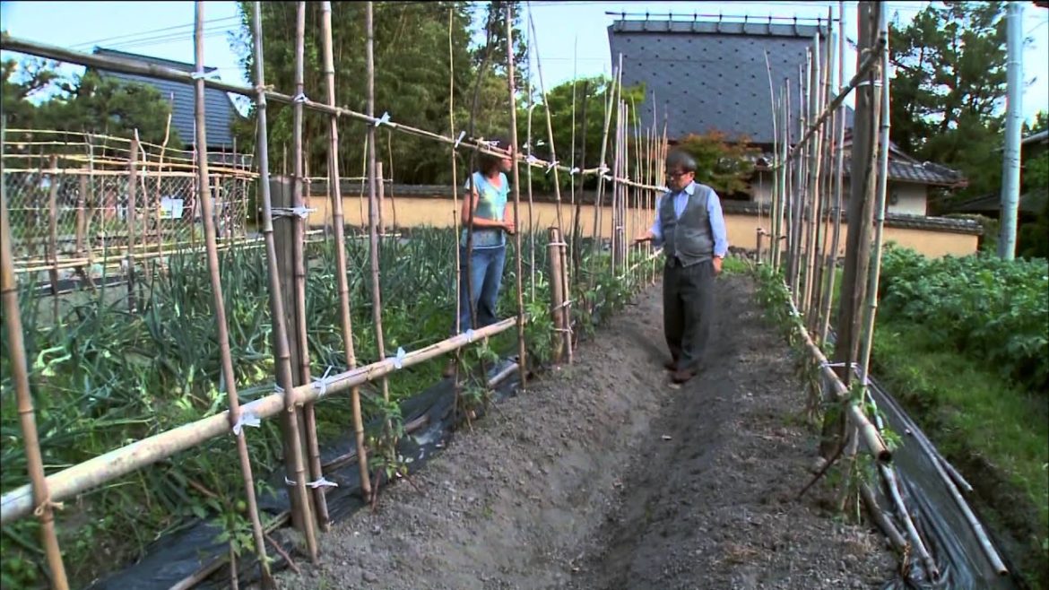Home Gardening in Japan
