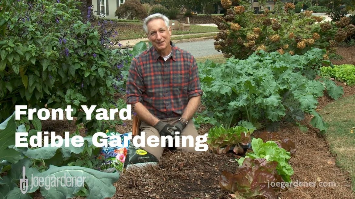 Tips for Creating a Front Yard Edible Garden Tips for Creating a Front Yard Edible Garden