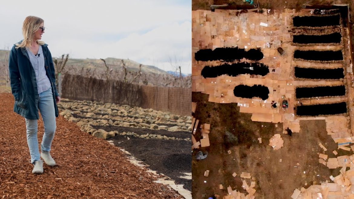 The MEGA Market Garden is IN | No-Dig Vegetable Gardening The MEGA Market Garden is IN | No-Dig Vegetable Gardening