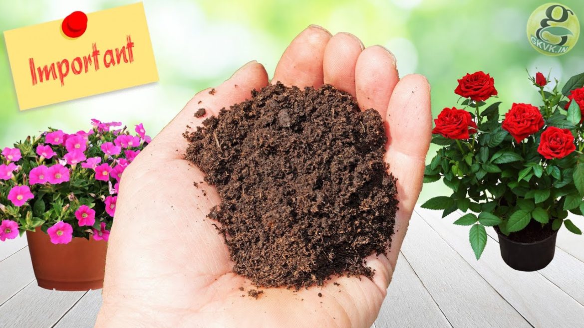 NEVER FORGET THESE 5 SPRING EPIC GARDENING TIPS & PREPARATIONS NEVER FORGET THESE 5 SPRING EPIC GARDENING TIPS & PREPARATIONS