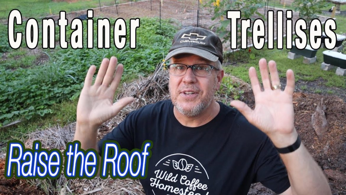 How to Build Trellises for Container Garden How to Build Trellises for Container Garden
