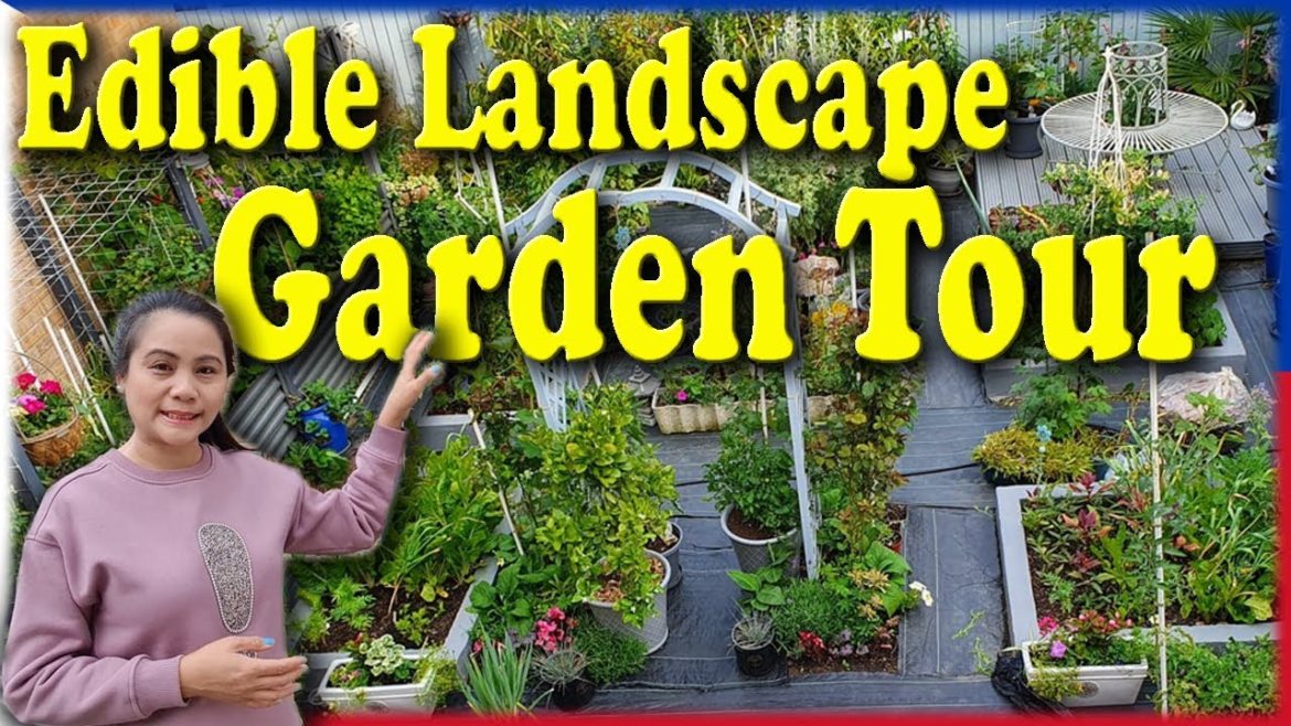 Edible Landscape Garden Tour Summer Time Manila London Life In The UK Small Organic Gardening Guide