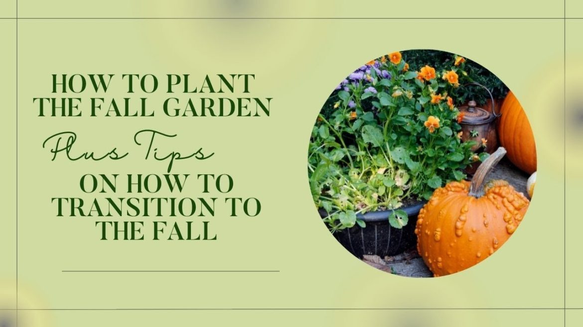 How to Plant the Fall Garden Tips on How to Transition to Fall