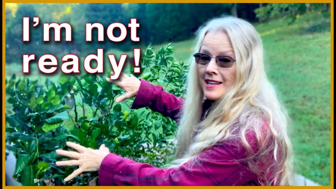 I didn't expect THIS for another MONTH! Plus, TIP for STOCKING UP!