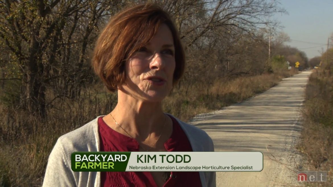 Lifestyle Gardening: Making Compost