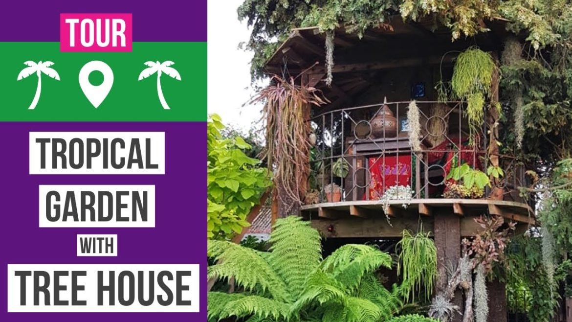 UK Tropical garden with a jungle tree house 🌴 Tropical garden design & ideas