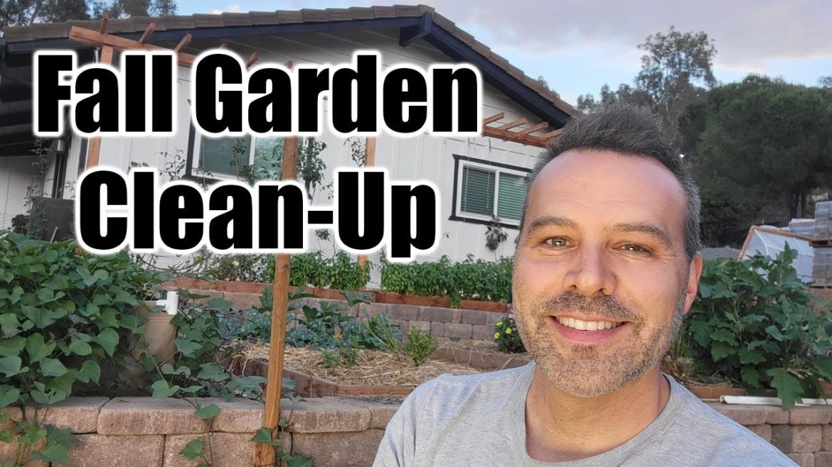 California Garden TV: Fall Garden Clean Up // Cold or Mild Winters! Fall Garden Clean Up // Cold or Mild Winters!
