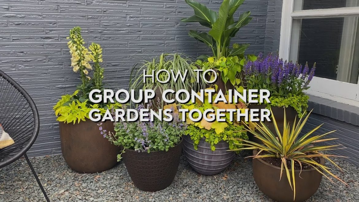 How to Group Container Gardens Together | Basics | Better Homes & Gardens How to Group Container Gardens Together | Basics | Better Homes & Gardens