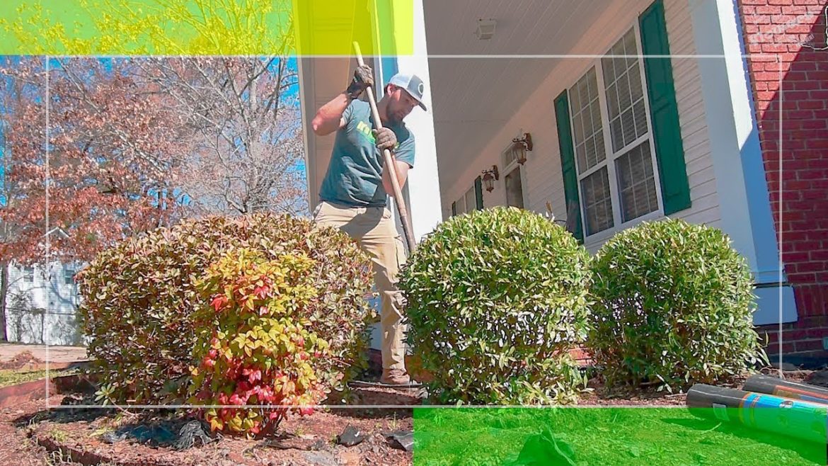 Front Yard Landscaping Remodel in 1 day