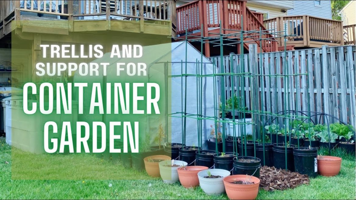 Container Garden Trellis and Tomato Cages or Plant Support