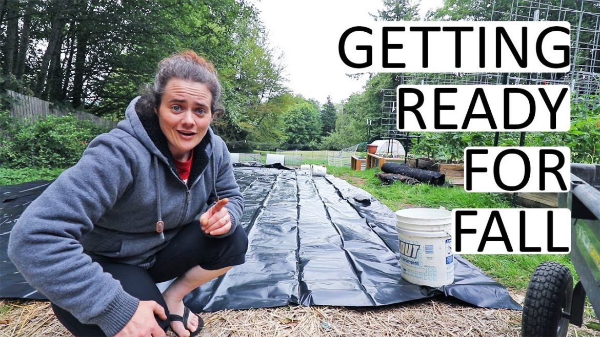 Getting The Garden READY FOR FALL – Silage Tarps, Seeds, Future Garden Plans and Surprises! Getting The Garden READY FOR FALL - Silage Tarps, Seeds, Future Garden Plans and Surprises!