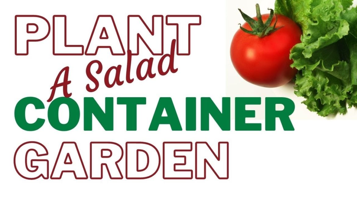 How to Plant up a Salad Container Garden For Beginners How to Plant up a Salad Container Garden For Beginners